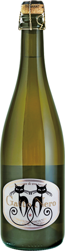 bottiglia